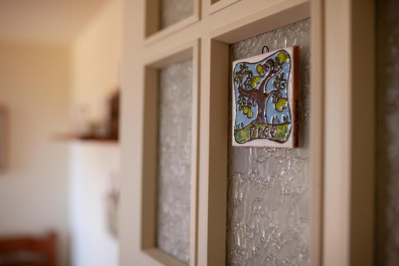 B&B Villa Il Noce Picinisco Dış mekan fotoğraf