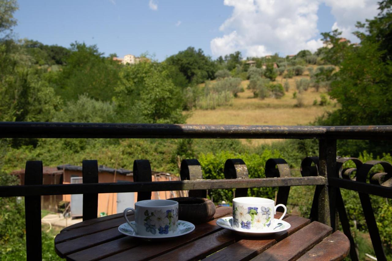 B&B Villa Il Noce Picinisco Dış mekan fotoğraf