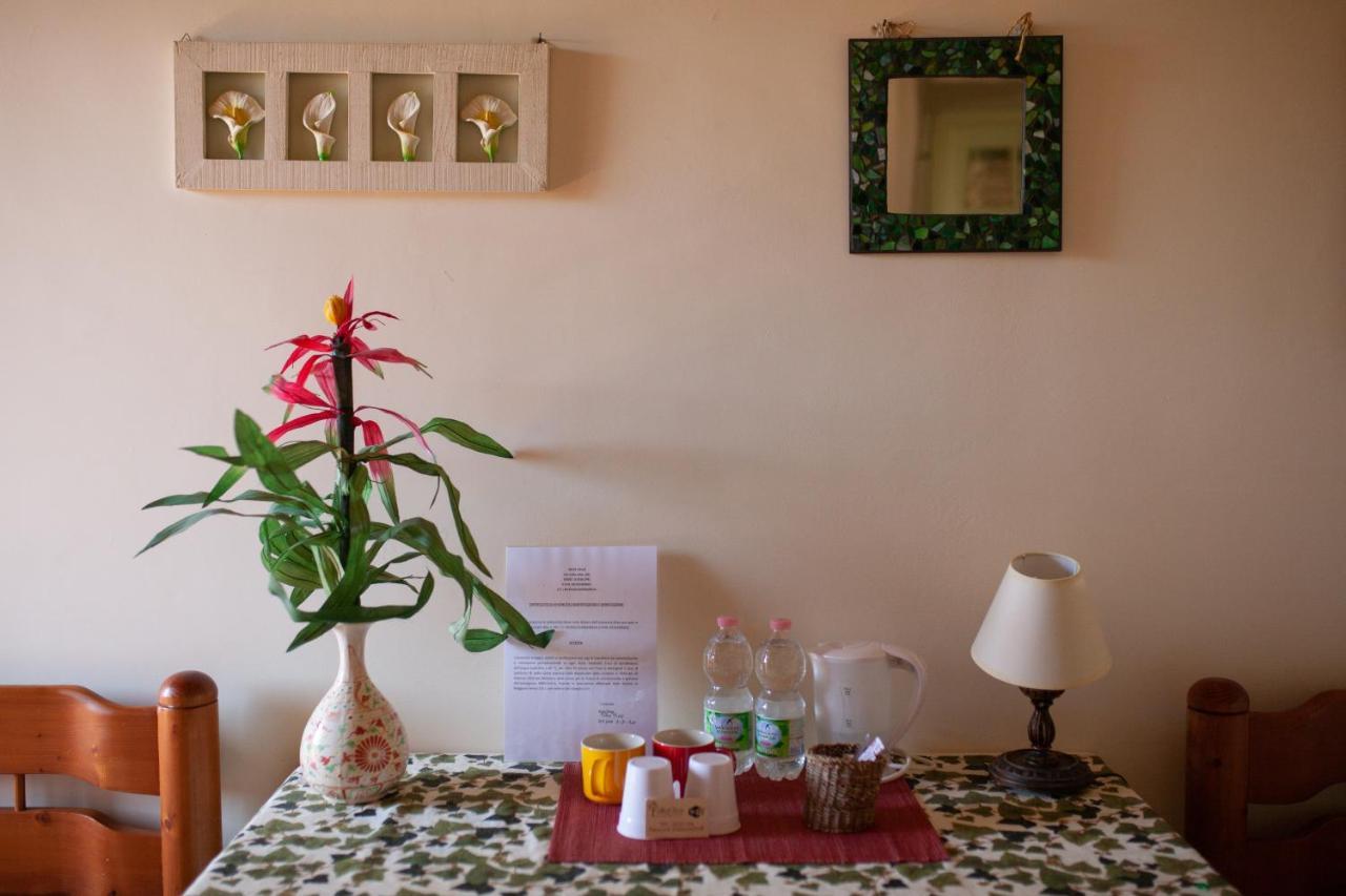 B&B Villa Il Noce Picinisco Dış mekan fotoğraf