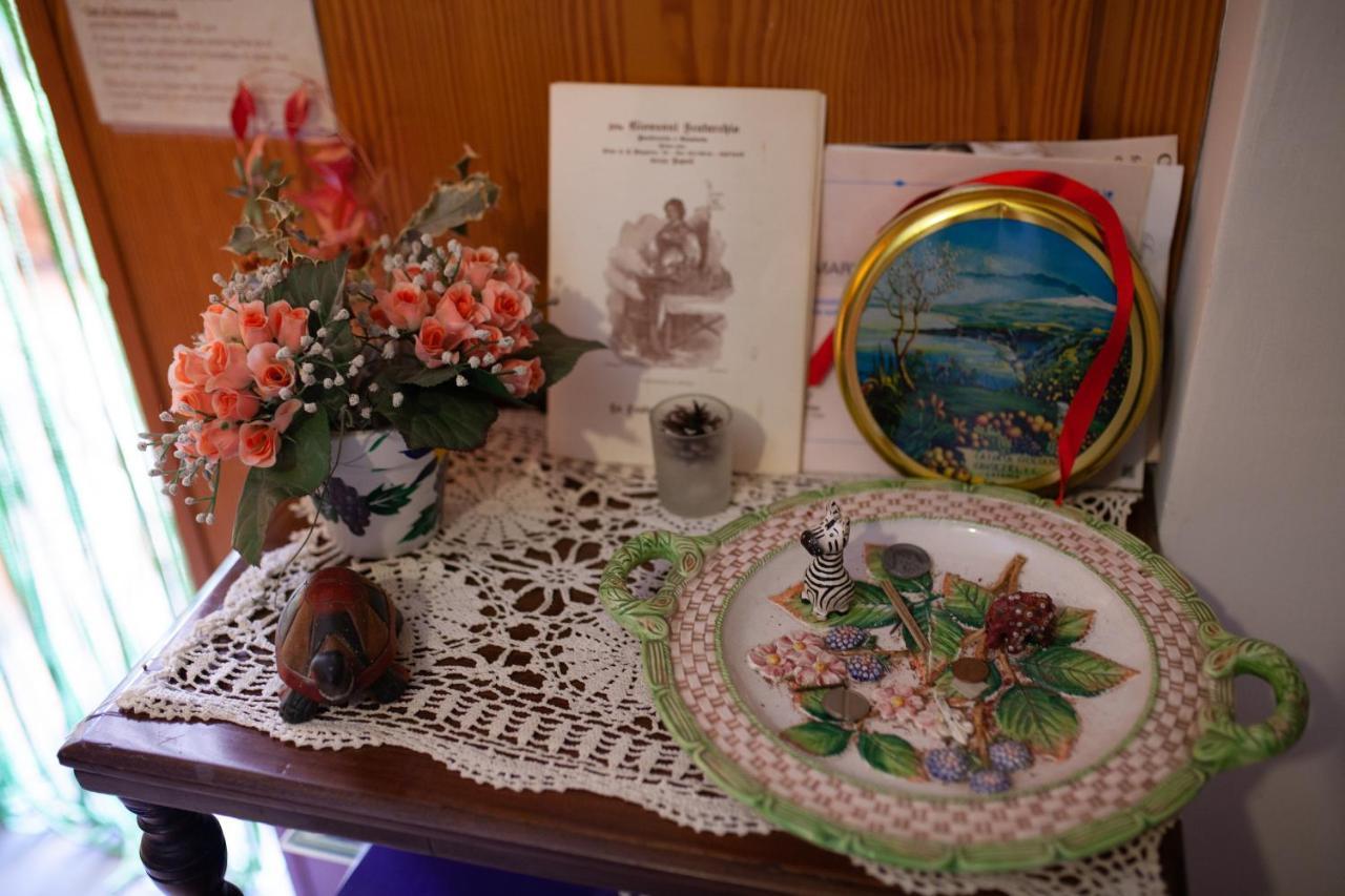 B&B Villa Il Noce Picinisco Dış mekan fotoğraf